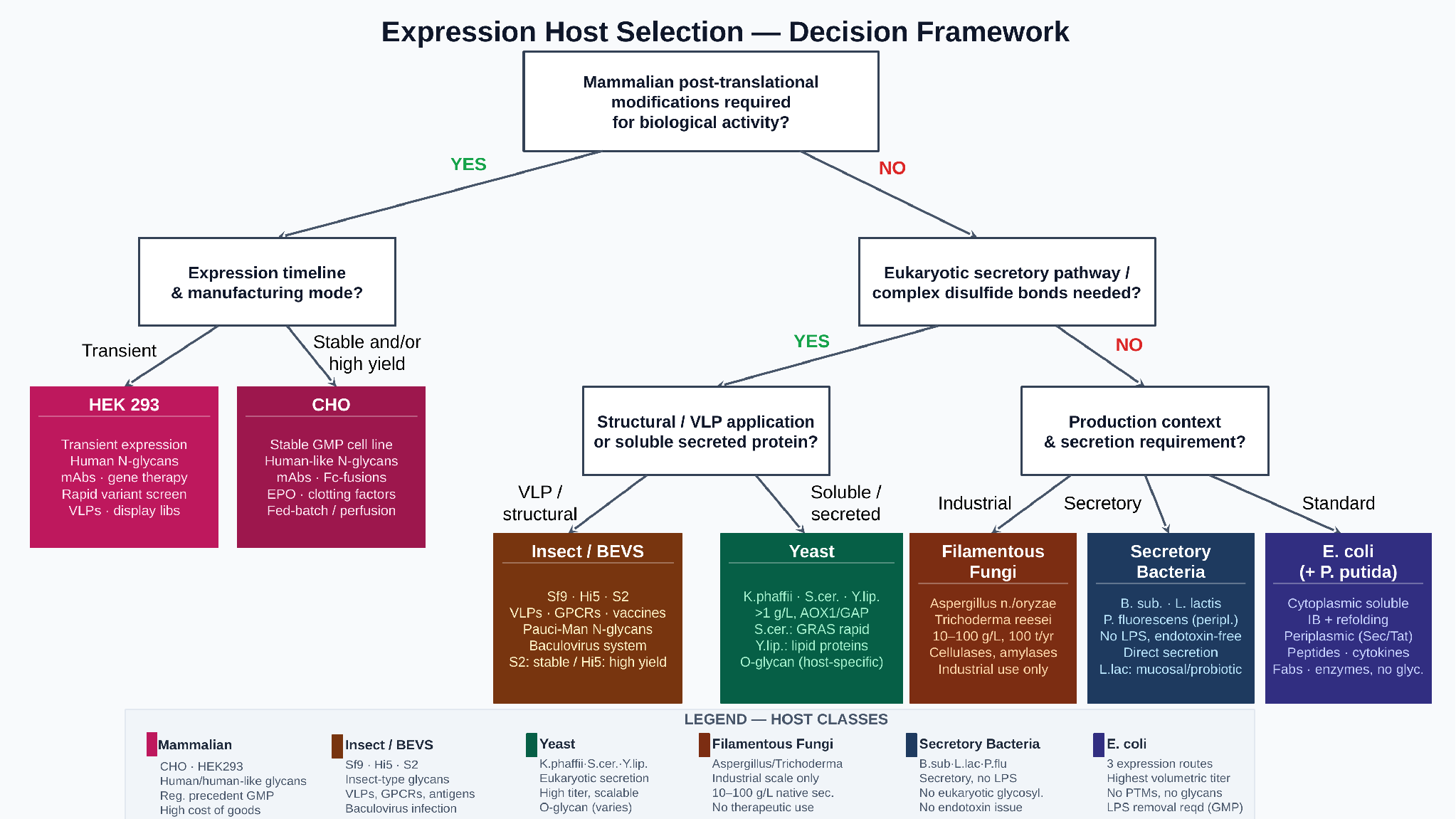 Decision-tree diagram of expression-host selection across six organism classes.
